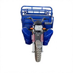 Hot Sale in Africa Gasoline Cargo Tricycle Three Wheeler for Goods Transport