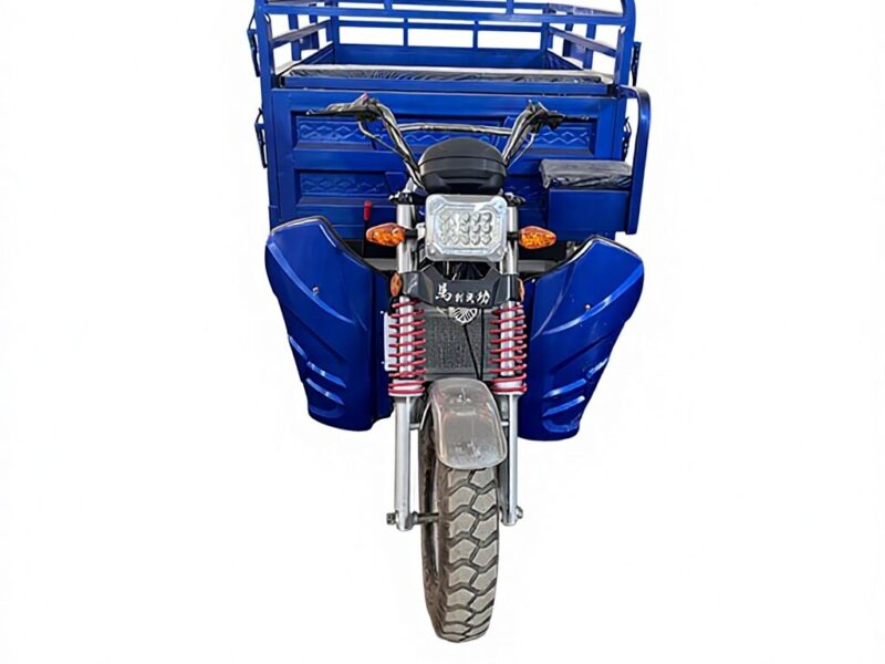 Hot Sale in Africa Gasoline Cargo Tricycle Three Wheeler for Goods Transport