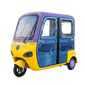 Hot Sale Three Wheel Electric Tricycle Closed Body Passenger Leisure for Adults 48V 1000W Motor