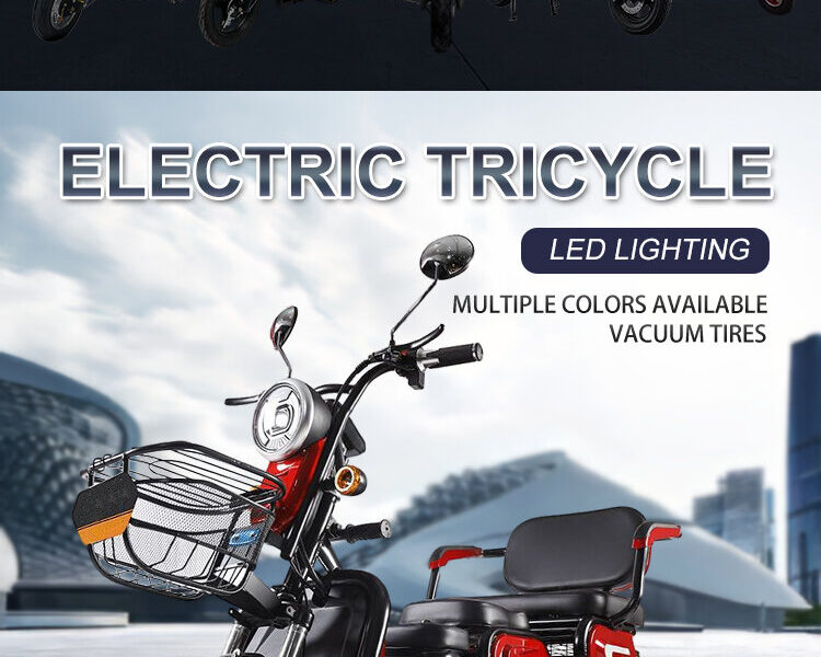 Hot Sales 3 Wheeler Electric Bike Motor Electr Adult Tricycle 50km/H Adult Electric Tricycle Mobility Scooter Elderly