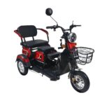 Hot Sales 3 Wheeler Electric Bike Motor Electr Adult Tricycle 50km/H Adult Electric Tricycle Mobility Scooter Elderly - image 2