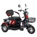 Hot Sales 3 Wheeler Electric Bike Motor Electr Adult Tricycle 50km/H Adult Electric Tricycle Mobility Scooter Elderly - image 3