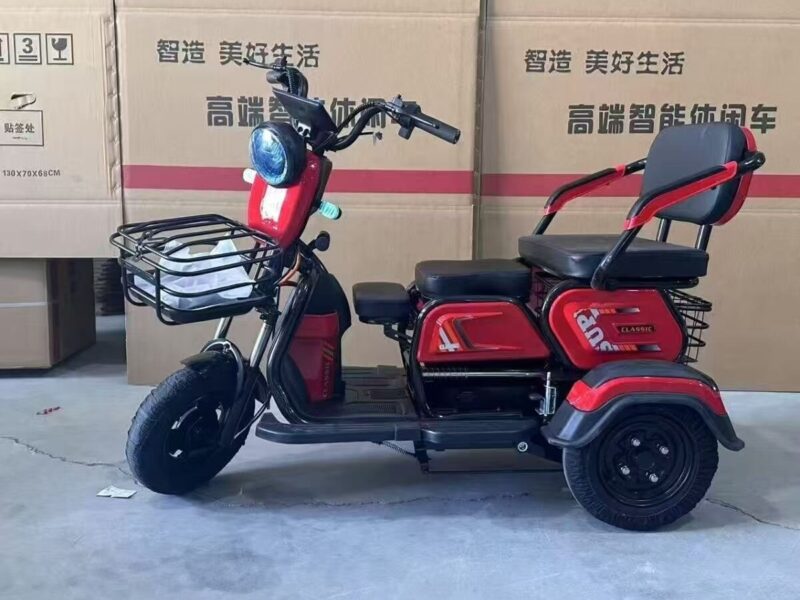 Hot Selling 48v Electric Adult Scooter Open Body Design with Colorful Rice for Sale Cheap 3 Wheel Tricyele Electric Trike
