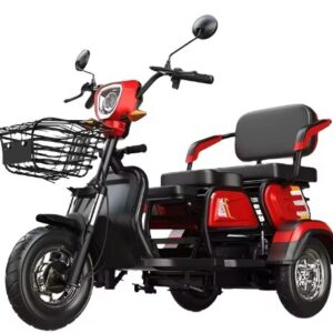 Hot Selling 48v Electric Adult Scooter Open Body Design with Colorful Rice for Sale Cheap 3 Wheel Tricyele Electric Trike
