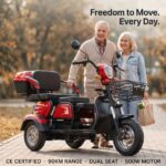 Hot Selling 48v Electric Adult Scooter Open Body Design with Colorful Rice for Sale Cheap 3 Wheel Tricyele Electric Trike - image 5