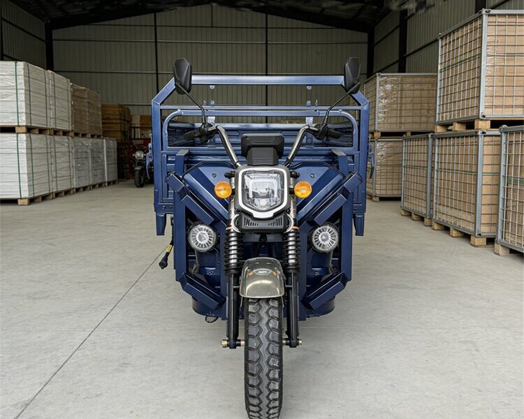 Hot Selling Electric Tricycle High Power 2200W Motor Electric Tricycle Cargo Triciclo Electrico Electric Tricycle 3 Wheel