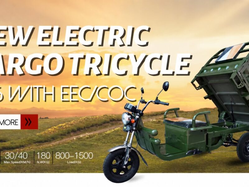 Hot Selling Electric Tricycles Cargo Truck Big Wheel Tricycle for Adult EEC COC DOT 1000W 25km/h 45km/h