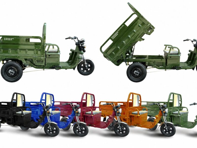 Hot Selling Electric Tricycles Cargo Truck Big Wheel Tricycle for Adult EEC COC DOT 1000W 25km/h 45km/h