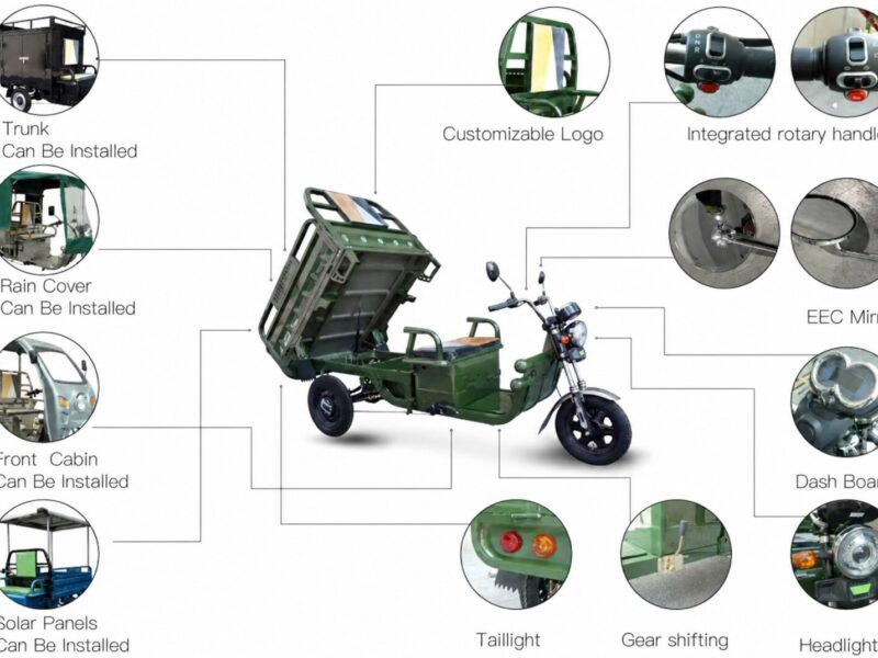 Hot Selling Electric Tricycles Cargo Truck Big Wheel Tricycle for Adult EEC COC DOT 1000W 25km/h 45km/h