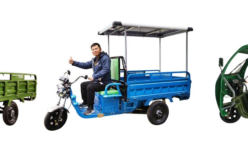 Hot Selling Electric Tricycles Cargo Truck Big Wheel Tricycle for Adult EEC COC DOT 1000W 25km/h 45km/h