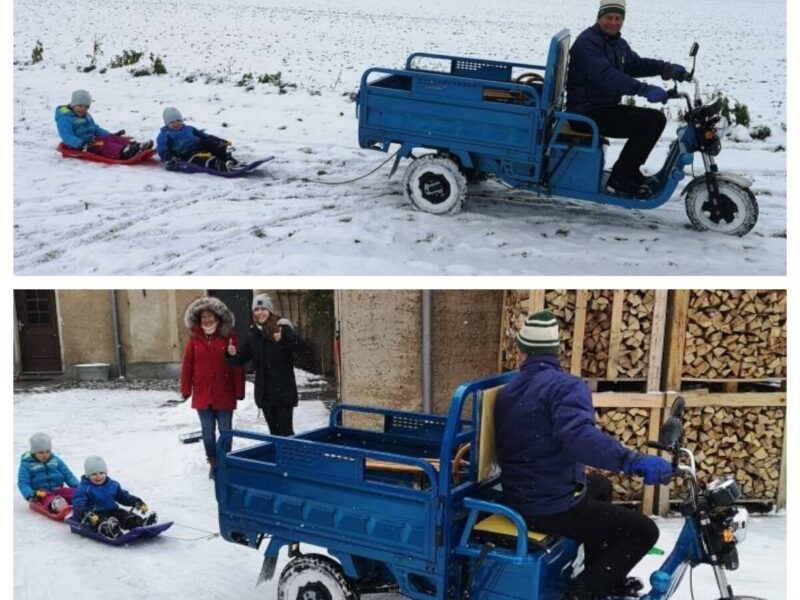 Hot Selling Electric Tricycles Cargo Truck Big Wheel Tricycle for Adult EEC COC DOT 1000W 25km/h 45km/h