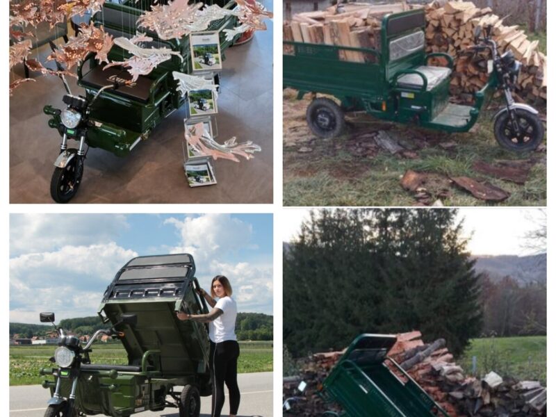 Hot Selling Electric Tricycles Cargo Truck Big Wheel Tricycle for Adult EEC COC DOT 1000W 25km/h 45km/h