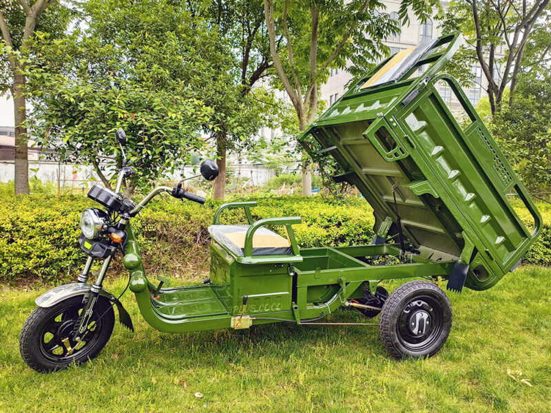 Hot Selling Electric Tricycles Cargo Truck Big Wheel Tricycle for Adult EEC COC DOT 1000W 25km/h 45km/h