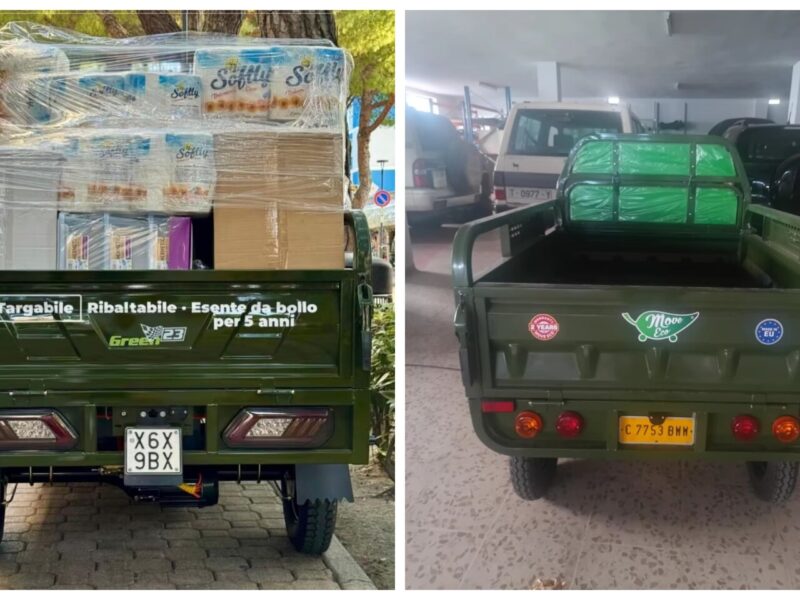 Hot Selling Electric Tricycles Cargo Truck Big Wheel Tricycle for Adult EEC COC DOT 1000W 25km/h 45km/h