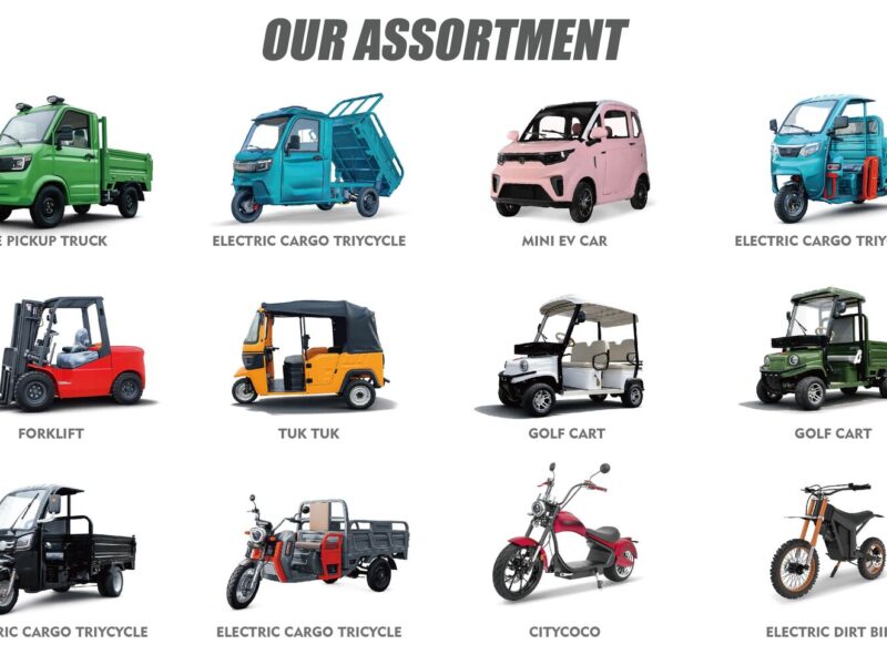 Hot Selling Electric Tricycles Cargo Truck Big Wheel Tricycle for Adult EEC COC DOT 1000W 25km/h 45km/h