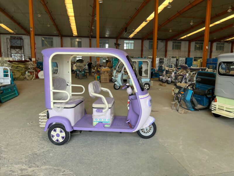 Hot Selling Household Electric Adult Tricycle with Intelligent System