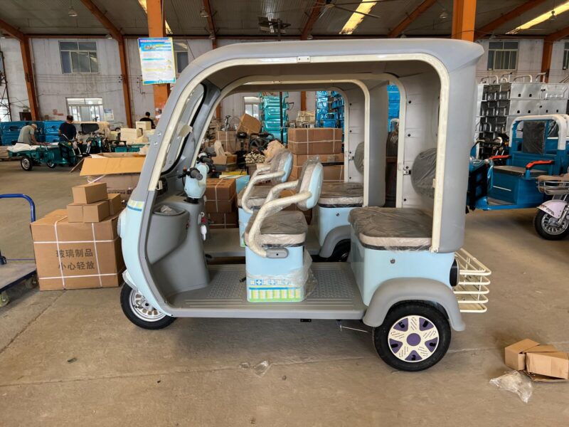 Hot Selling Household Electric Adult Tricycle with Intelligent System