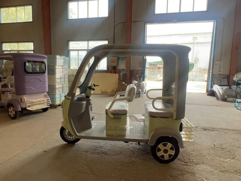 Hot Selling Household Electric Adult Tricycle with Intelligent System