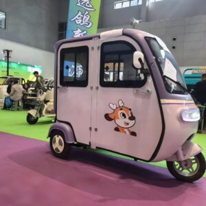 Hot Selling Household Electric Adult Tricycle with Intelligent System