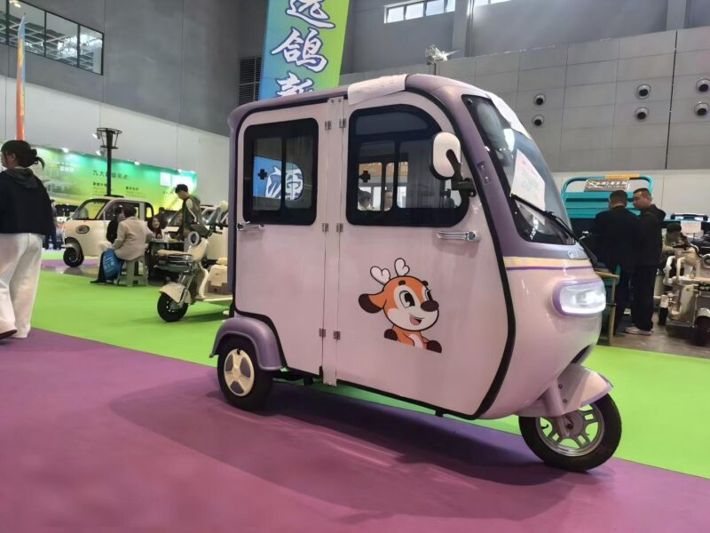 Hot Selling Household Electric Adult Tricycle with Intelligent System