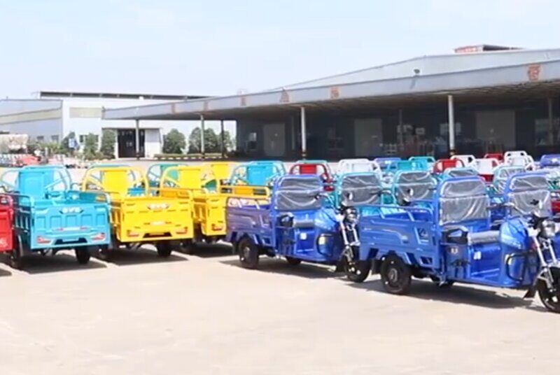 Hot Selling Low Price and EEC High Quality Electric Tricycle