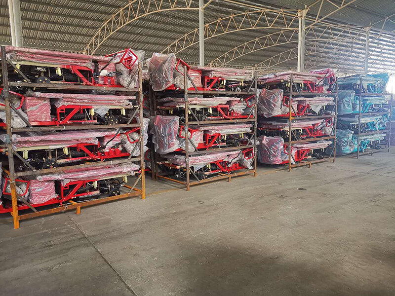Hot Selling Low Price and EEC High Quality Electric Tricycle