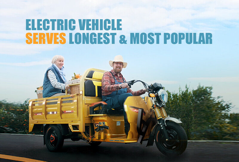 Hot Selling Low Price and EEC High Quality Electric Tricycle