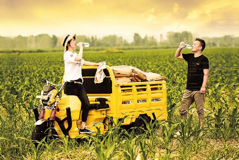Hot Selling Low Price and EEC High Quality Electric Tricycle