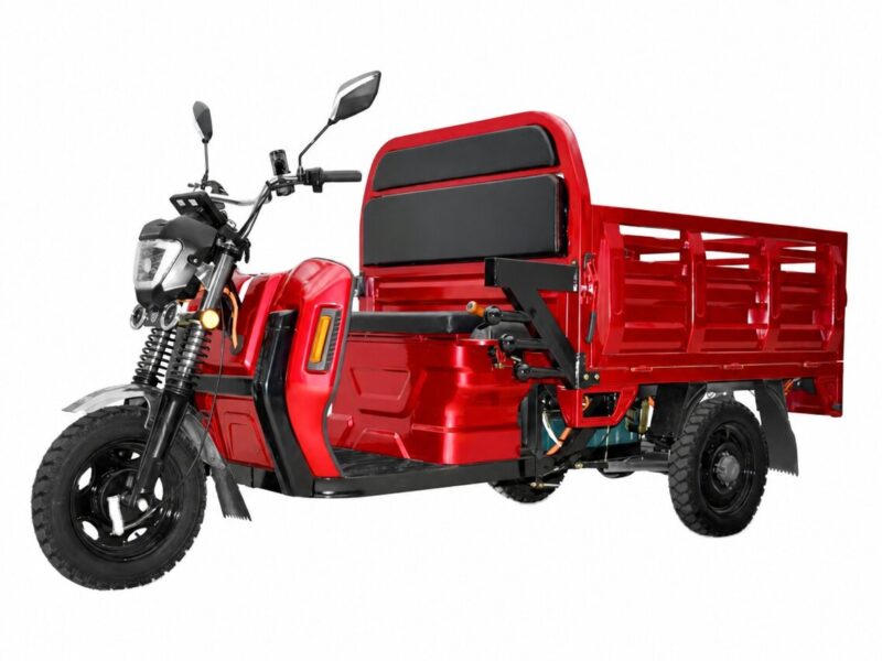 Passenger Driver and Cargo Delivery Electric Loader 1000W 2000W Lead Acid Battery Trike