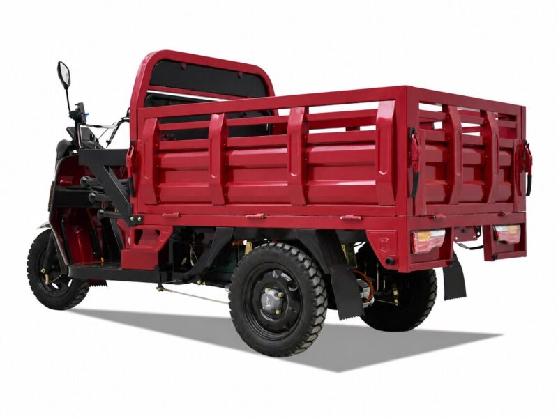 Passenger Driver and Cargo Delivery Electric Loader 1000W 2000W Lead Acid Battery Trike