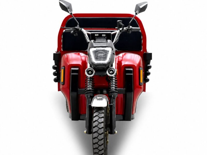 Passenger Driver and Cargo Delivery Electric Loader 1000W 2000W Lead Acid Battery Trike