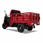 Hot Selling Low Price and EEC High Quality Electric Tricycle - image 3
