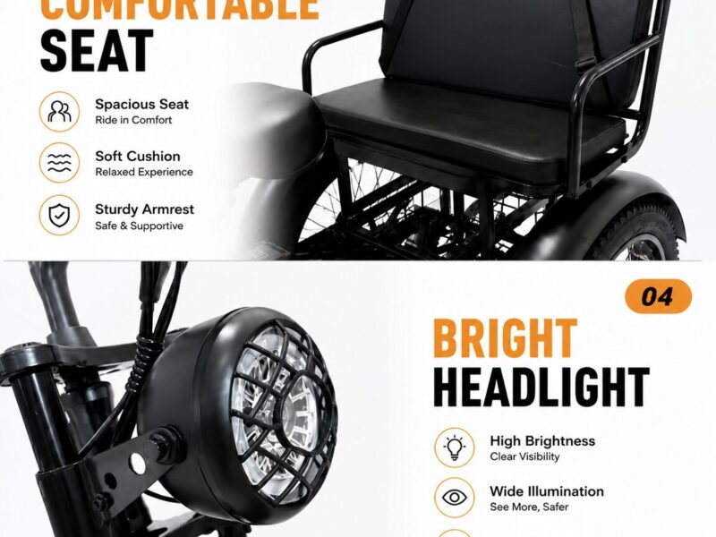 Large Seat Fat Tire Snow Electric Tricycle, EEC Certified 750W Passenger & Cargo Trike with Lithium Battery for Adults
