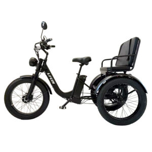 Large Seat Fat Tire Snow Electric Tricycle, EEC Certified 750W Passenger & Cargo Trike with Lithium Battery for Adults
