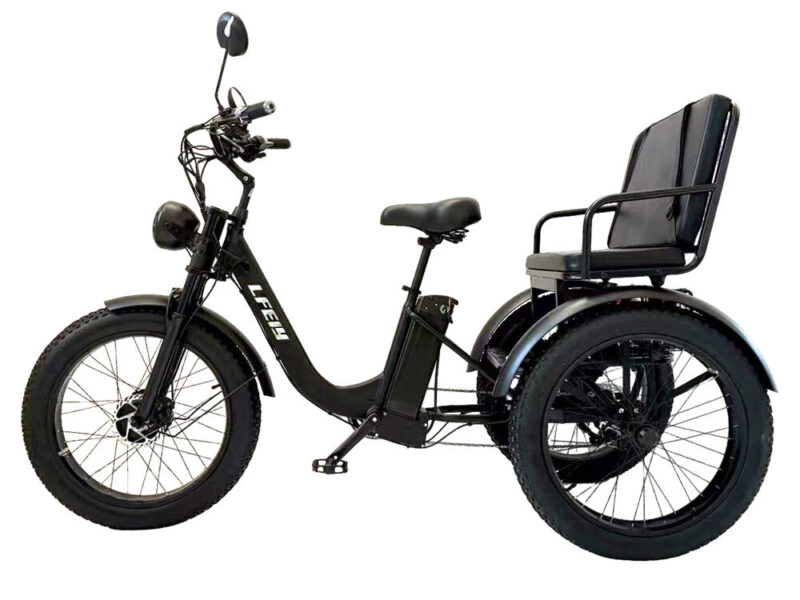 Large Seat Fat Tire Snow Electric Tricycle, EEC Certified 750W Passenger & Cargo Trike with Lithium Battery for Adults