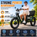 Large Seat Fat Tire Snow Electric Tricycle, EEC Certified 750W Passenger & Cargo Trike with Lithium Battery for Adults - image 5