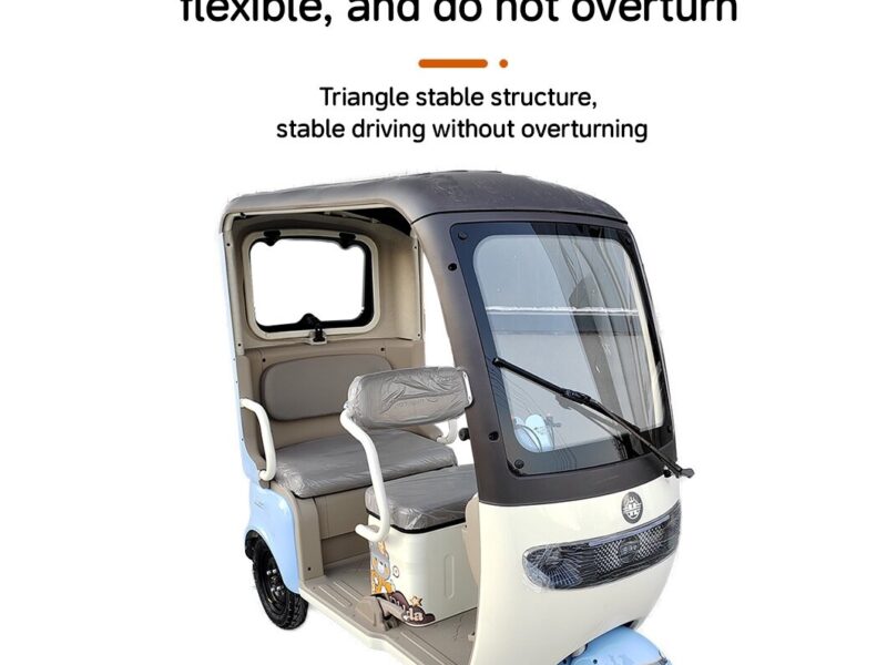 Leisure 3 Wheel Electric Tricycle for Passenger Electric Tricycles for Adults 200 Kg