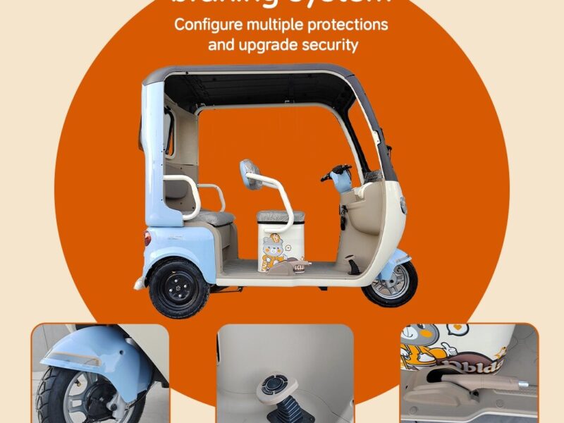 Leisure 3 Wheel Electric Tricycle for Passenger Electric Tricycles for Adults 200 Kg