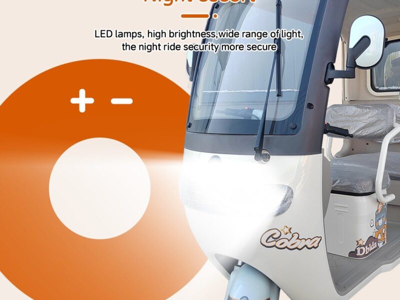 Leisure 3 Wheel Electric Tricycle for Passenger Electric Tricycles for Adults 200 Kg