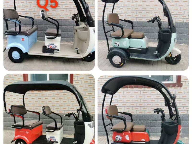 Leisure 3 Wheel Electric Tricycle for Passenger Electric Tricycles for Adults 200 Kg