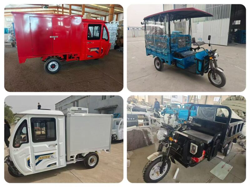 Leisure 3 Wheel Electric Tricycle for Passenger Electric Tricycles for Adults 200 Kg