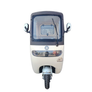 Leisure 3 Wheel Electric Tricycle for Passenger Electric Tricycles for Adults 200 Kg