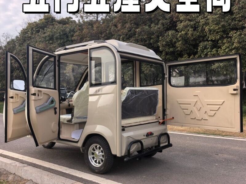 Low Speed Electric Tricycle for Elderly Open Body 3-Passenger Simple Operation Stable Shock Absorption Safe Travel 30-50km Range