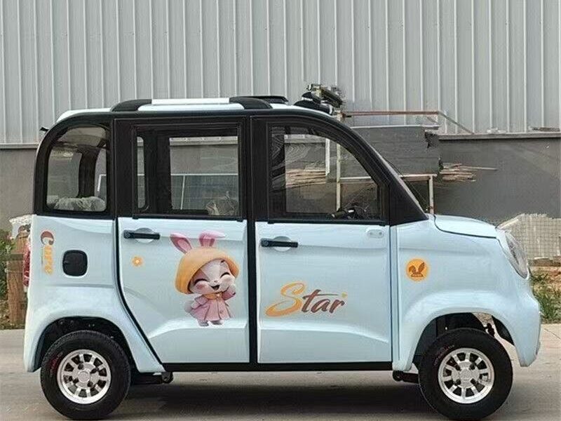 Low Speed Electric Tricycle for Elderly Open Body 3-Passenger Simple Operation Stable Shock Absorption Safe Travel 30-50km Range