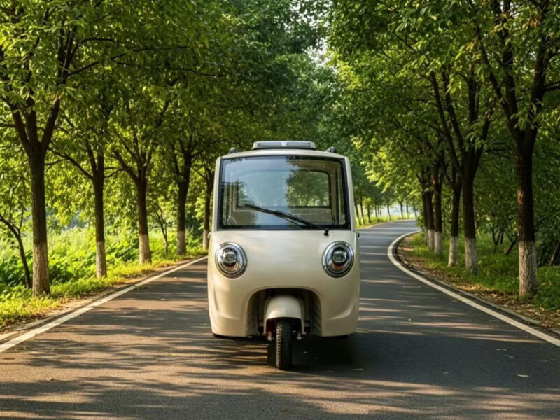 Mini Electric Closed Tricycle with Four Doors Three Wheels >1000W Power 30-50Km/h Speed for Adult Passenger
