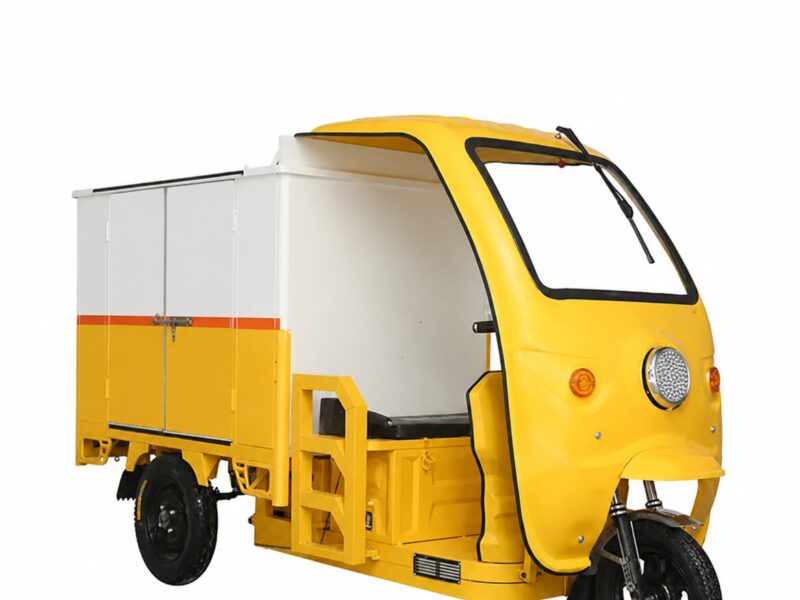 Multi-functional Cheap Thickened Cargo Hold 3 Wheel Enclosed 800w Electric Tricycles for Box