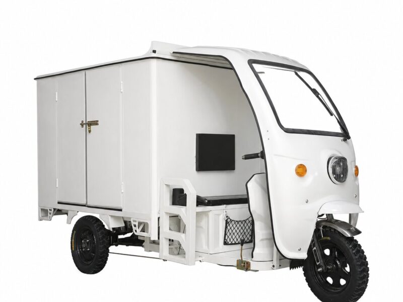Multi-functional Cheap Thickened Cargo Hold 3 Wheel Enclosed 800w Electric Tricycles for Box