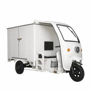 Multi-functional Cheap Thickened Cargo Hold 3 Wheel Enclosed 800w Electric Tricycles for Box