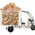Multi-functional Cheap Thickened Cargo Hold 3 Wheel Enclosed 800w Electric Tricycles for Box - image 2