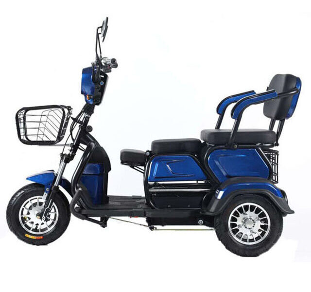 Multi-purpose 3 Legs Electric Bike for Adults Electric Tricycle